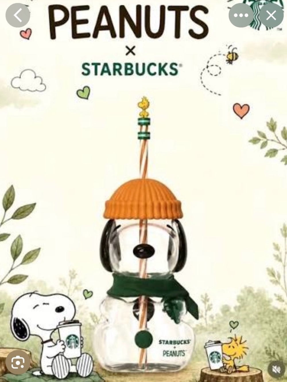 Starbucks Glascup Snoopy26 Bearista 20 OZ